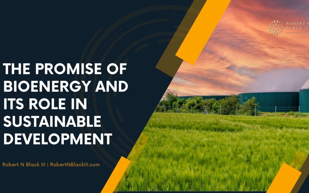 The Promise of Bioenergy and Its Role in Sustainable Development